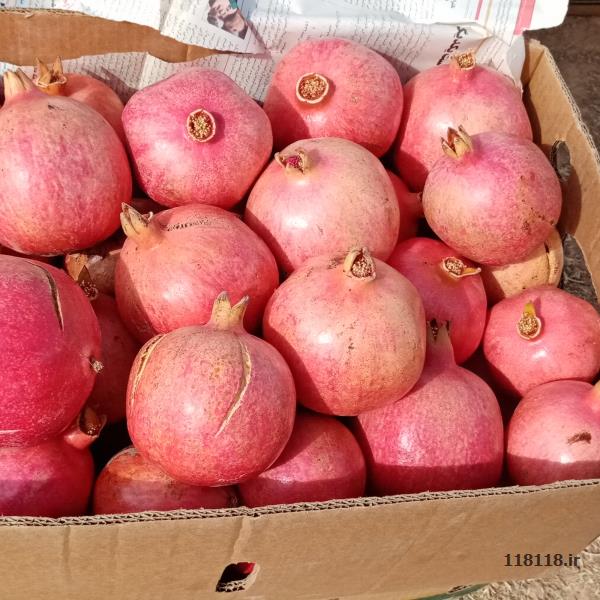 فروش عمده میوه درجه یک به قیمت میدان بار نیشابور