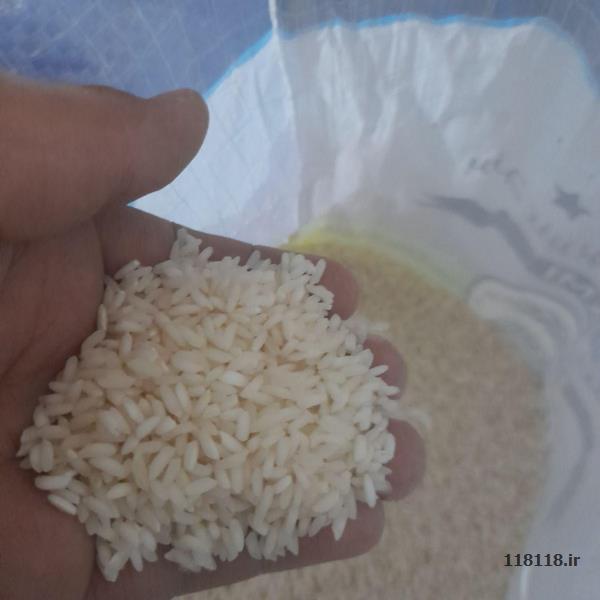 پخش برنج عنبر بوی خوزستان